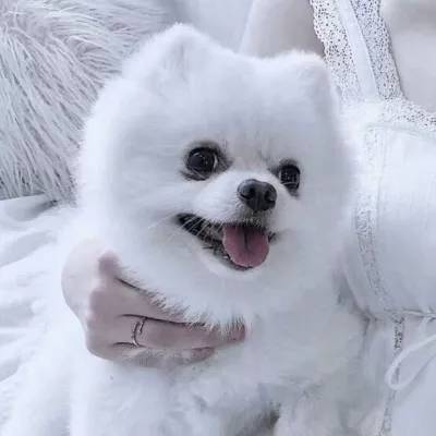 JN江南·体育注册