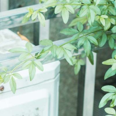 亚星娱乐网下载手机版